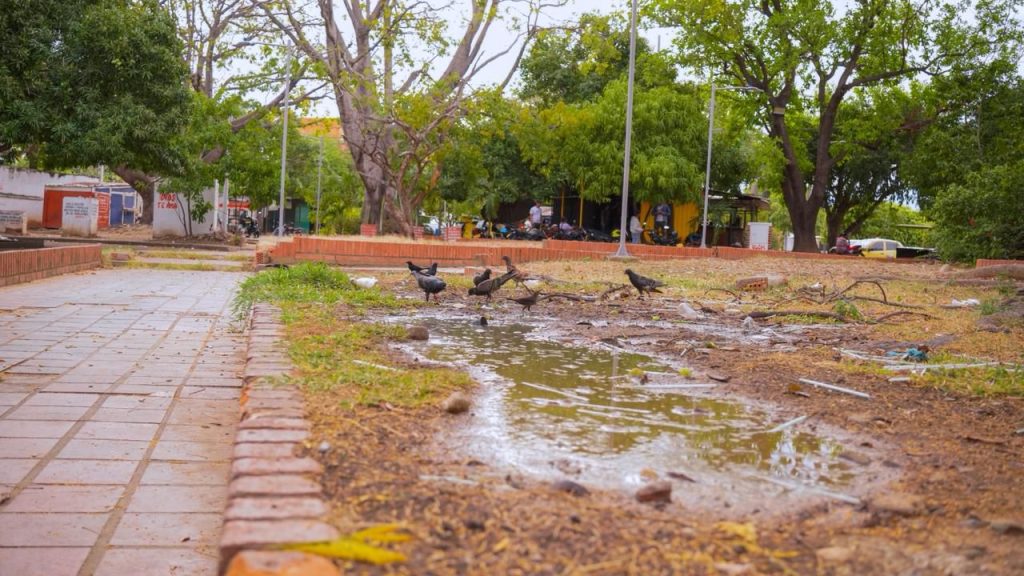Riesgo para peatones por concreto levantado e inseguridad en el Parque de la Biblia de Valledupar FOTO: Anatol Mendoza