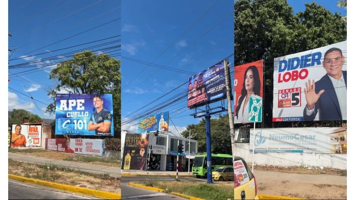 las vallas de los candidatos al Congreso de la República están generando contaminación visual en la ciudad, lo que también ocasiona riesgos de accidentalidad.
