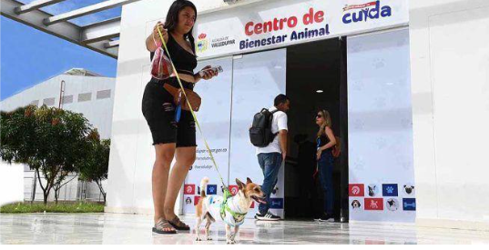 Centro de Bienestar Animal en Valledupar ofrece atención veterinaria y esterilización