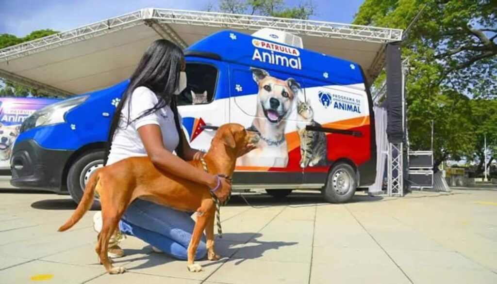 Patrulla animal de Valledupar atiende casos urgentes de bienestar animal