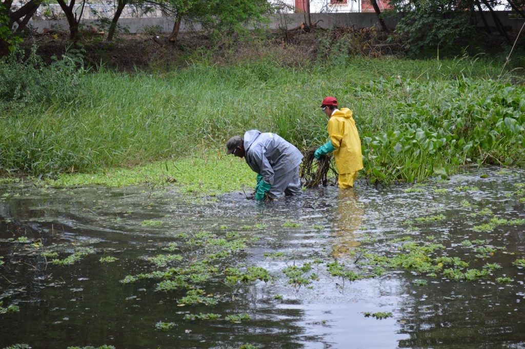Jornadas comunitarias para la recuperación de humedales en Valledupar