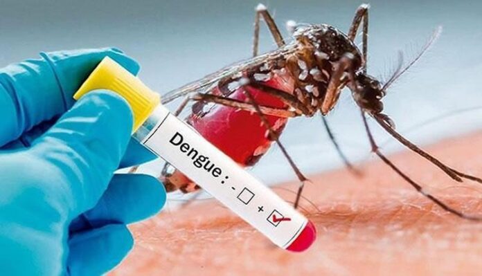 El mosquito Aedes Aegypti es el transmisor del dengue en Valledupar, donde ya se reportan 305 casos en distintos barrios de la ciudad. FOTO: Internet.