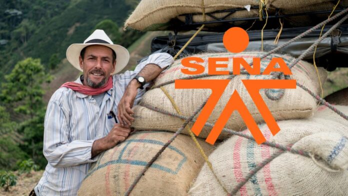 Campesino colombiano junto a sacos de café en convocatoria de certificación SENA campesinos 2026