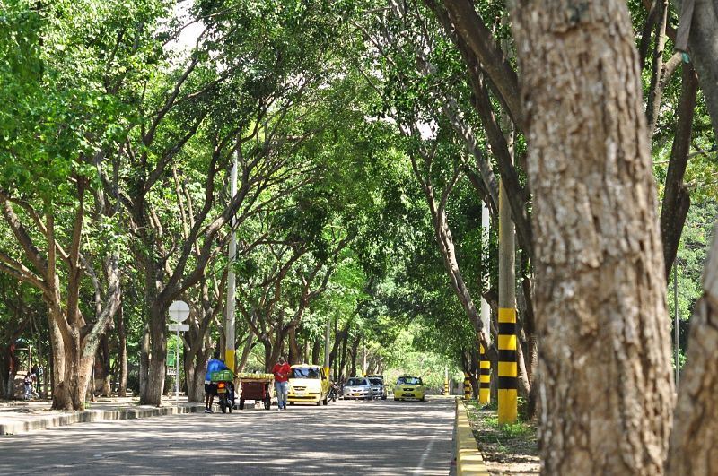 Valledupar Ciudad Verde entre Mercabasto y Gobernación del Cesar