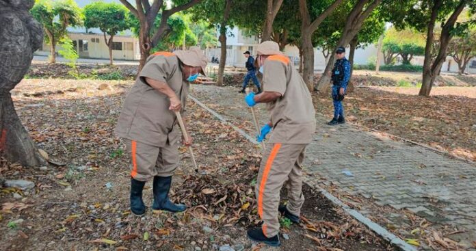 Internos de la Cárcel Judicial de Valledupar, con uniforme beige y tapabocas, trabajan en la limpieza de una zona verde llena de hojas secas en el barrio La Nevada.
