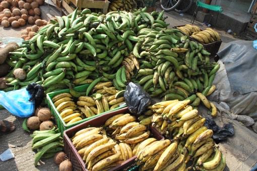 Plátanos en venta en plaza de mercado de Valledupar, producto agrícola listo para comercialización