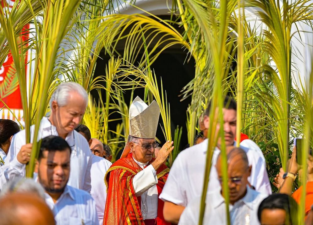 El obispo de Valledupar lidera la procesión de Domingo de Ramos entre una multitud con palmas.