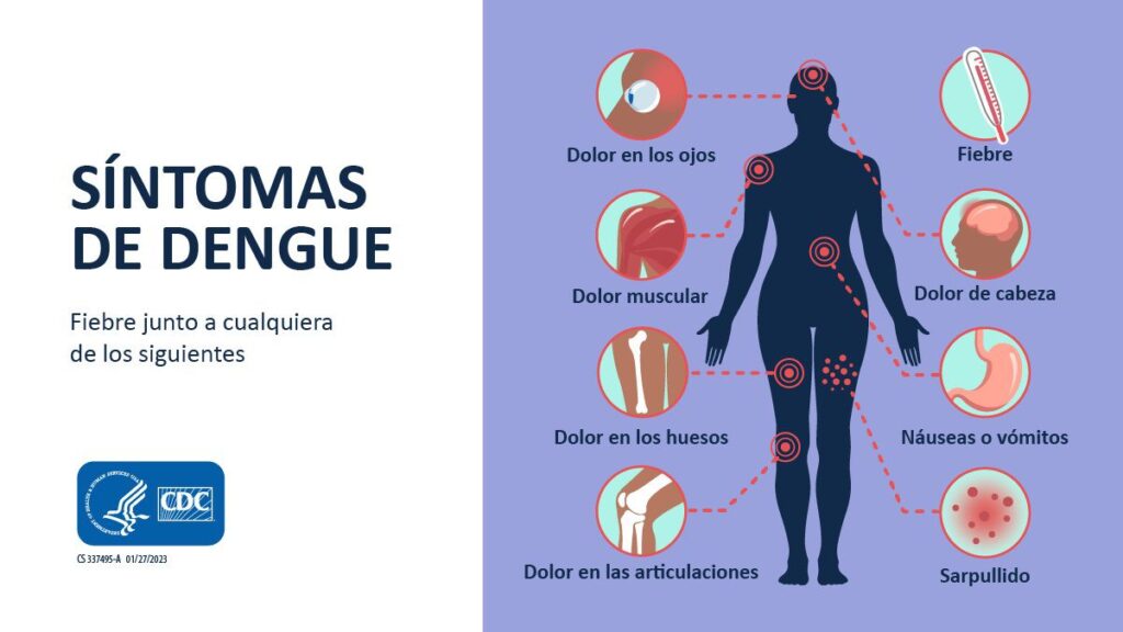 Infografía detallada de los síntomas del dengue: fiebre, dolor en los ojos, muscular, óseo, articular, de cabeza, náuseas y sarpullido.
