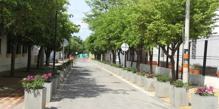 Valledupar Ciudad Verde en corredor urbano con recuperación de árboles y zonas verdes
