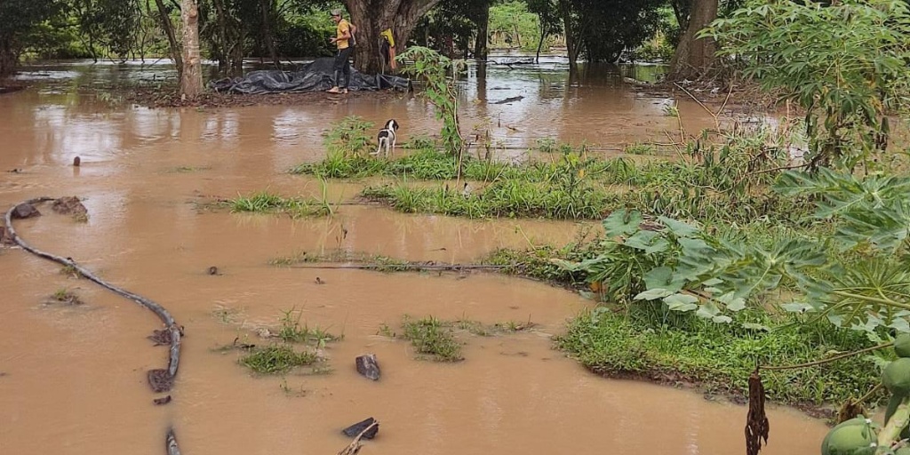 Un perro atrapado en una zona rural inundada tras las intensas lluvias en el Cesar y el sur de La Guajira, evidenciando el riesgo de crecientes súbitas.