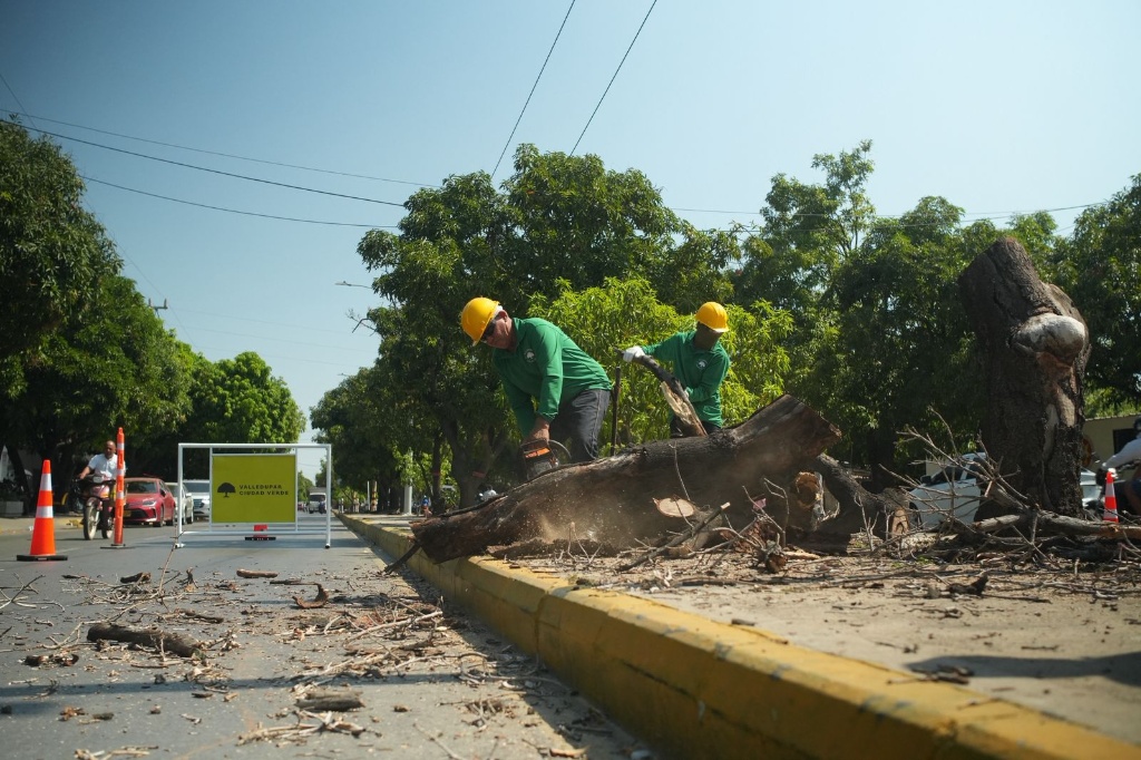 Operarios de la Concesión Verde de Valledupar realizando trabajos de silvicultura y mantenimiento de arbolado urbano en una vía principal de la ciudad.