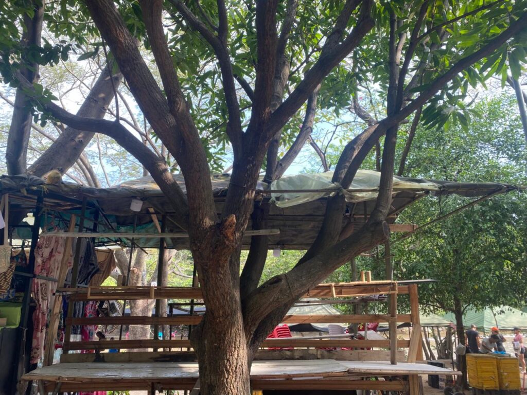 Vista de un puesto de venta ambulante en el Balneario Hurtado Valledupar, construido con estructuras metálicas oxidadas, tablas de madera desgastadas y una lona verde vieja y sucia como techo, atada a los árboles circundantes. Muestra la precariedad de los espacios.
