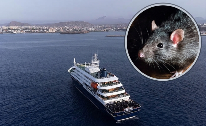 Composición que muestra un crucero en Cabo Verde y un roedor, ilustrando el brote de hantavirus a bordo.