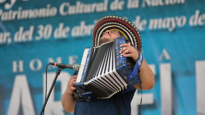 Acordeonero profesional ejecutando los cuatro aires tradicionales durante la selección de los clasificados a la segunda ronda de Acordeón Profesional Festival Vallenato 2026.
