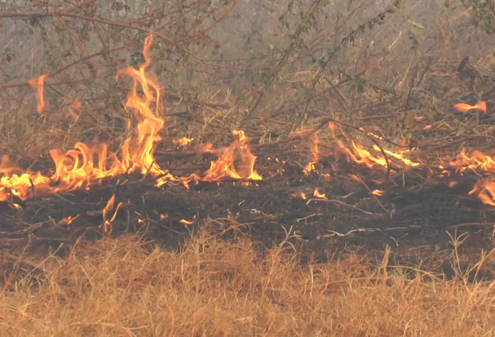Incendio forestal en zona rural del Cesar durante temporada de calor extremo asociada al fenómeno de El Niño.