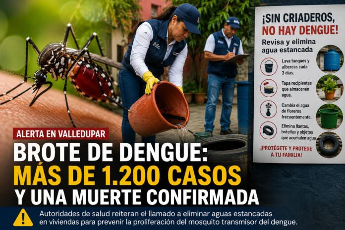 Primer plano del mosquito Aedes aegypti, transmisor del dengue, durante el brote registrado en Valledupar.