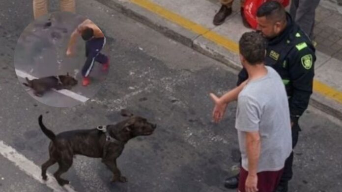 El perro Tigre momentos antes de morir en un operativo de la Policía Nacional en Rionegro.